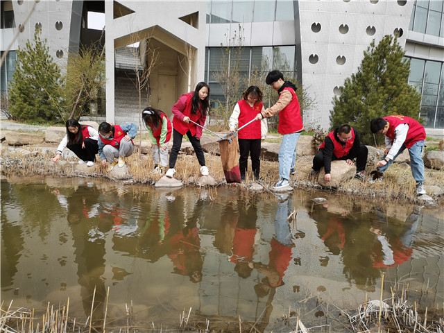 3银2铜,我校在第六届中国青年志愿服务项目大赛中再创佳绩!