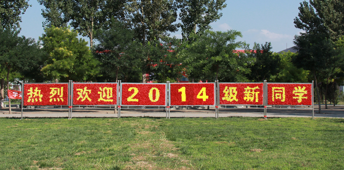 【迎新专题】迎新现场走一圈——各系迎新有看点