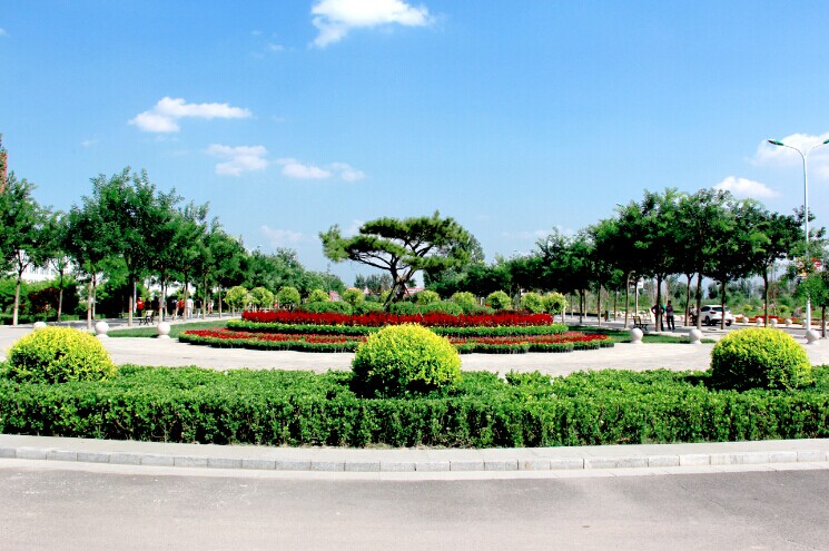 【迎新专题】迎新现场走一圈——各系迎新有看点