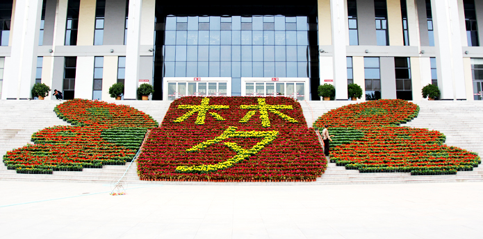 【迎新专题】迎新现场走一圈——各系迎新有看点