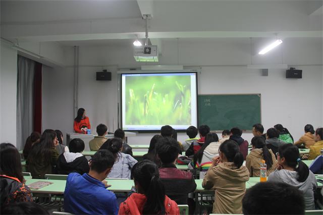 我的桌面 我做主——记太古精英学院首届桌面设计大赛