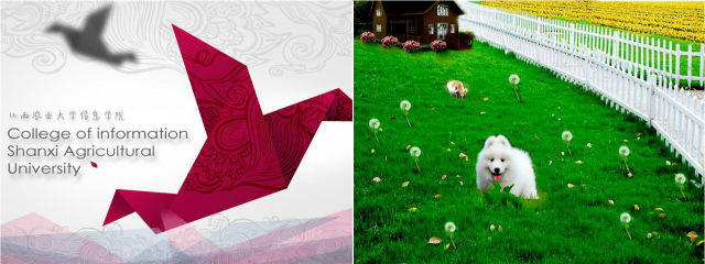 我的桌面我做主——记外语系首届桌面设计大赛