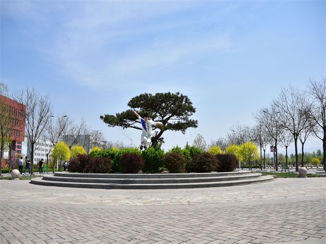 军训×运动会=国术形意拳的创意表达