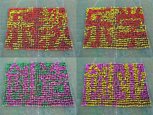 军训×运动会=国术形意拳的创意表达