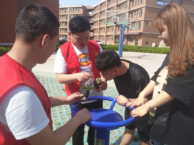 【传递正能量】与蒲公英并肩齐飞 让知识净化心灵 ——艺术传媒学院“蒲公英”绿植传递志愿服务活动第6期