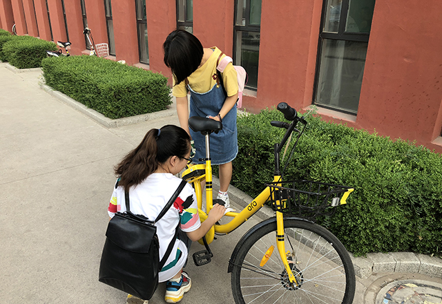 【完满班级】保护小黄车 文明校园行