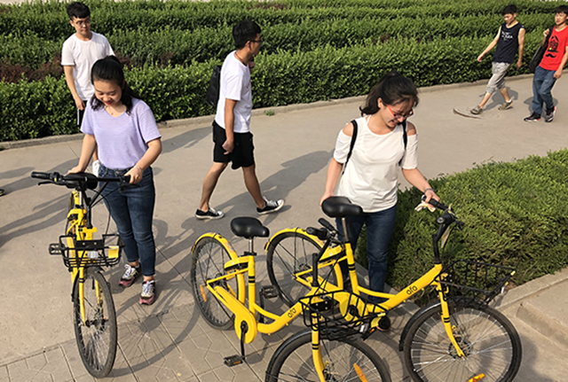 【完满班级】保护小黄车 文明校园行