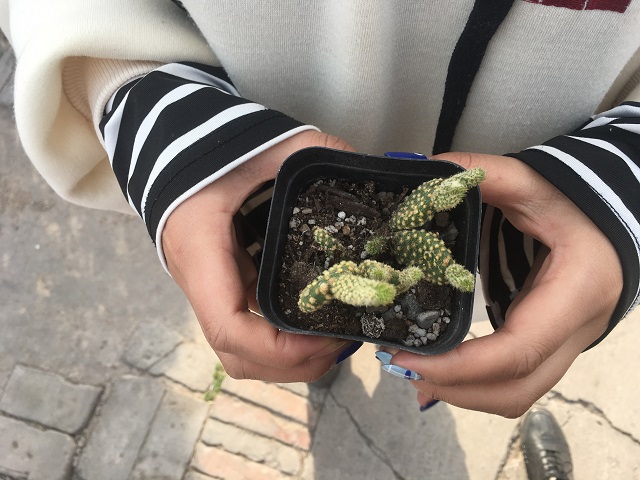 【传递正能量】公益达人 践行使者