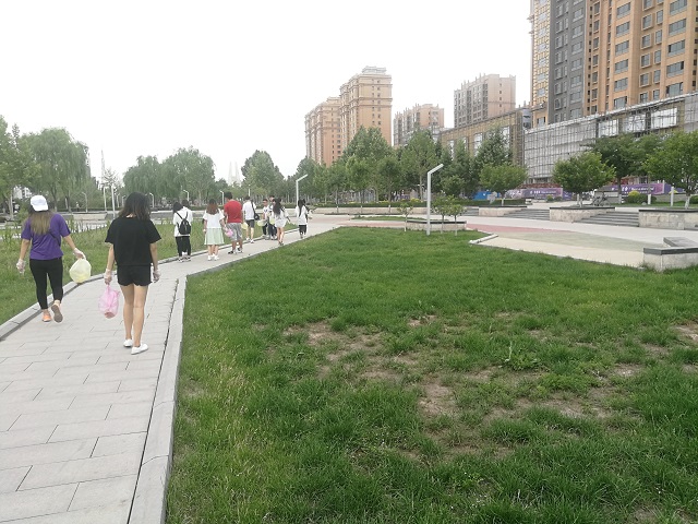 【传递正能量】凝聚青年力量 守护城市文明