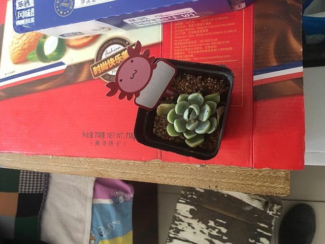 【传递正能量】公益达人 践行使者