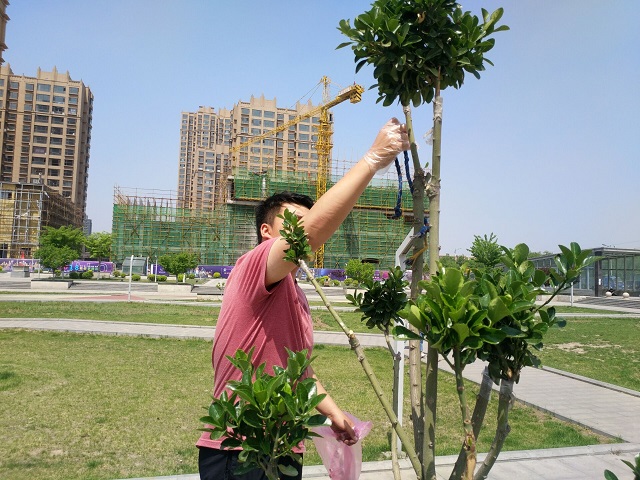 【暖心工程】仰望蓝天 种下绿色希望 ——艺术传媒学院 “北城社区”文明志愿服务活动第5期