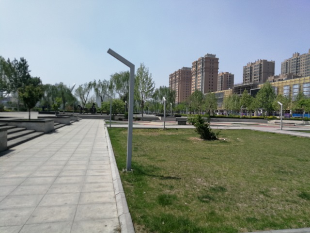 【暖心工程】仰望蓝天 种下绿色希望 ——艺术传媒学院 “北城社区”文明志愿服务活动第5期