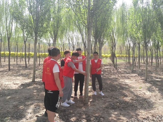 【传递正能量】与蒲公英并肩齐飞 让知识净化心灵 ——艺术传媒学院“蒲公英”绿植传递志愿服务活动第6期