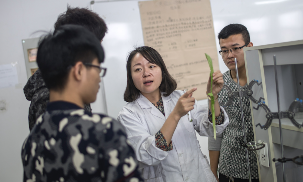 晋中信息学院2021年各学院专业介绍